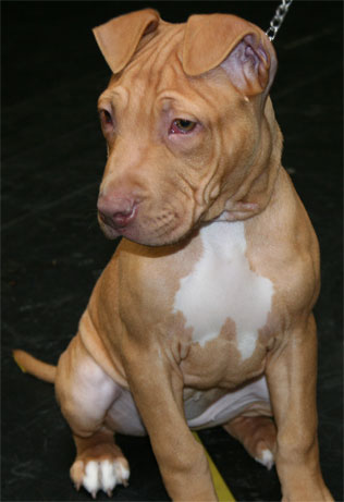 roxie